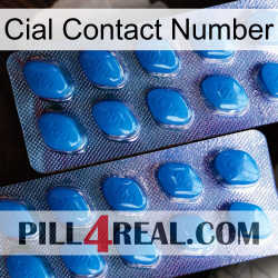 Cial Contact Number